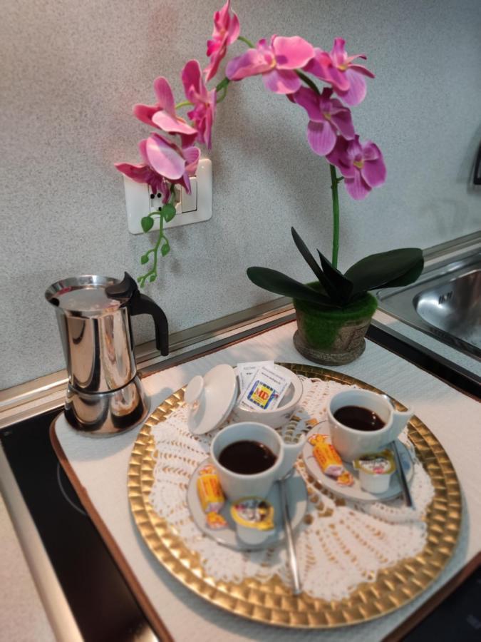 Jennifer House. トレント エクステリア 写真